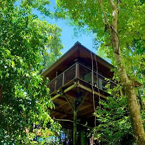 Cairns Rainforest Retreat